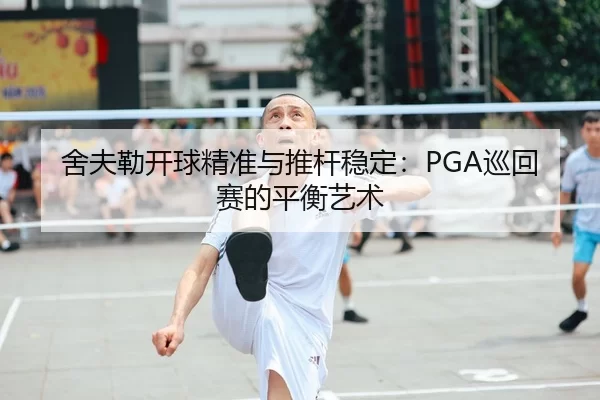 she-fu-lei-kai-qiu-jing-zhun-yu-tui-gan-wen-ding-xun-hui-sai-de-ping-heng-yi-shu-3-272.jpg