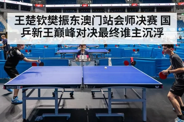 王楚钦樊振东澳门站会师决赛 国乒新王巅峰对决最终谁主沉浮