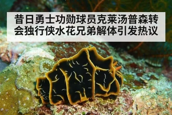 昔日勇士功勋球员克莱汤普森转会独行侠水花兄弟解体引发热议